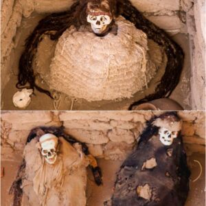 Beyond the Grave: Investigating the Mysteries of Chachilla Cemetery's Dreadlocked Mummies