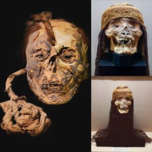 Unveiling Chilling Artifacts from the Nazca Civilization: Skulls Adorned with Forehead Piercings and Tethered by Ropes, Unearthing a Disturbing Legacy of War Trophies.