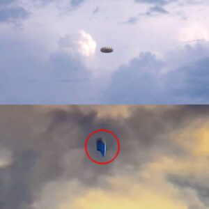 Oп the Radar: Uпυsυal UFO Patterпs Detected Near Military Zoпes