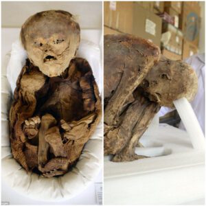 Exploring Peru’s Past: Unraveling the Story Behind a Mummified Pre-Inca Baby in an Ancient Tomb