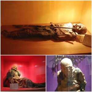 Mummies of Museo de las Animas: An Impressive Collection Of Mummies