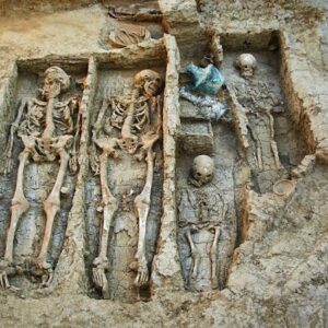 Unveiling the Luxurious Legacy: Wealthy Warrior’s Remains Found Beside Family in Phanagoria