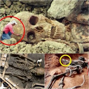 Egyptian Archaeologists Unearth Astonishing Giant Skeleton in Recumbent Pose, Leaving Everyone Stunned