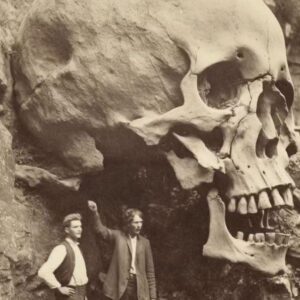 Archaeologists Unravel the Secrets of an Enigmatic Nephilim Skull, a Discovery That Could Rewrite History.