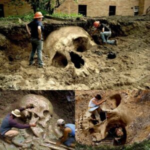 Ancient Giant's Final Rest: Unearthing a 5,500-Year-Old Grave with a Towering 10m Skeleton