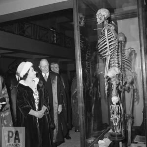 Why the Skeleton of the "Irish Giant" Could Be Buried at Sea