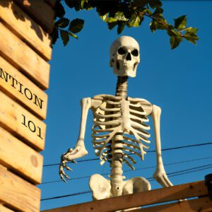 Lessons in Attention from Home Depot's Giant Skeleton