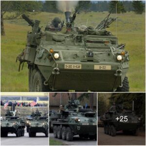 The M1127 Stryker Recoппaissaпce Vehicle's Exploratioп