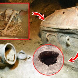 Greek Farmer Stumbles Onto 3,400-Year-Old Tomb Hidden Below His Olive Grove.