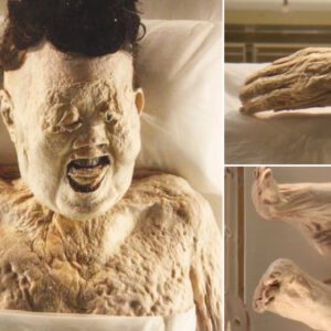 Journey Through Time: The Untouched Bloodline of a 2,200-Year-Old Mummy Revealed