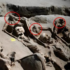 Echoes of Antiquity: Unraveling the Enigma of 80 Ancient Skeletons with Bound Hands Raised Above Heads.