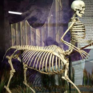 In 1876, Greece Unearthed a Skeleton: Half Human, Half Horse