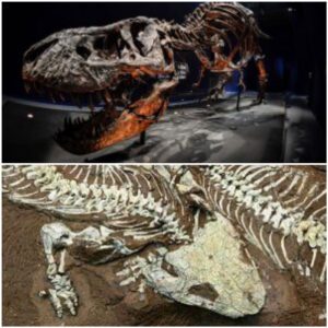 Sensation Unearthed: Dinosaur Fossils Revealed, Dating Back to 130,000 Years BC.