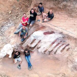 A мan’s Extraordinary Discoʋery Unearths Europe’s Largest Dinosaur Fossil