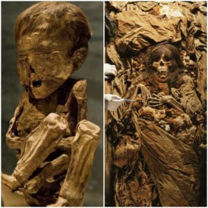 Echoes from the Past: Lima’s Remarkable Revelation of ‘La Señorita,’ an Inca Mummy