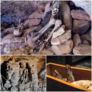 Inexplicable Mummification: Portugal's Bewilderment Grows as Corpses Turn Mysterious