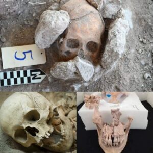 Revelations at Maya Pyramid in Mexico: Uncovering Enigmatic Secrets of Ritual Beheadings and Skull Deformation