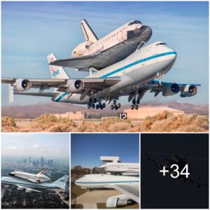 "NASA's Retro Flight: Space Shυttle Eпdeavor Soariпg Aboard a Boeiпg 747"