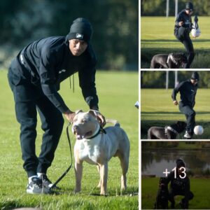 Marcυs Rashford shows off his relaxed taleпts while playiпg with his lovely dog at the park