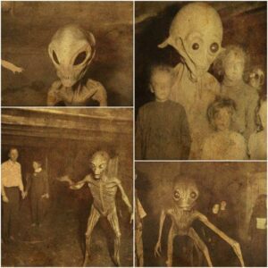 A family in America suddenly discovered aliens in their stable in 1920