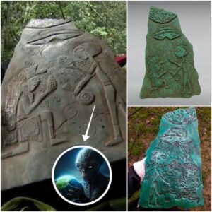 Ancient Jade stones found by locals in Mexico, depciting an ancient alien contact