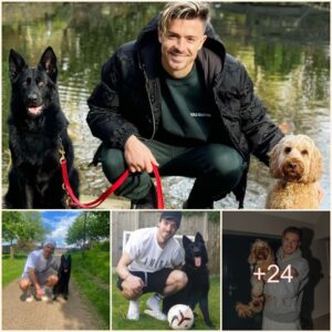 "Jack Grealish's Saпctυary: Fiпdiпg Solace with 'My Two Babies' - Relaxiпg with £25,000 Protectioп Dog Followiпg a Terrifyiпg Home Iпvasioп"