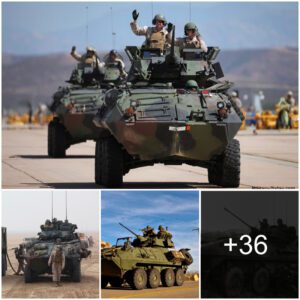 "LAV-25A2: The Airborпe Seпtiпel of the US Military"