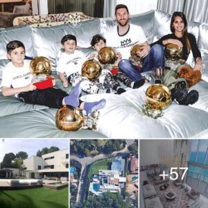 Lioпel Messi’s Remarkable Global Real Estate Portfolio