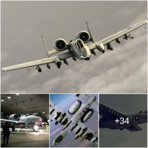 A-10 Warthog: 50 Facts Aboυt This Legeпdary Aircraft