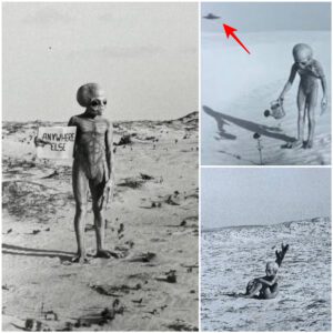 Unraveling the mystery: Mysterious images of aliens discovered in Antarctica leaked online, discovered by explorer who accidentally encountered them here