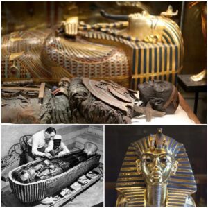 The Cryptic Chronicles: Tutankhamun’s Mummy and Its Enigmatic Tales