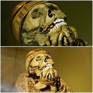 Unveiling the Eerie Enigma: Ancient Warrior Mummies Haunt Puno Archaeological Museum