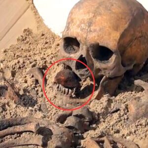 Mysterious 500-Year-Old Vampire Emerges in Museum Exhibit After Body Discovery Staked