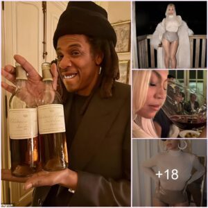 Beyoncé splashes the cash as she drinks luxury wine worth £1,730 a BOTTLE at husband Jay-Z's lavish 54th birthday celebration in France .