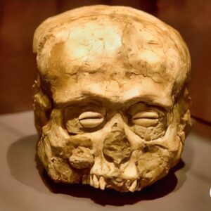 Ancient Stare: The Jericho Skull’s Shell Eyes and the Haunting Allure of a 9,000-Year-Old Artifact