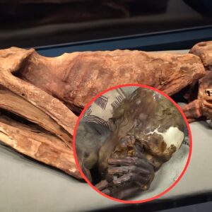 Eternal Romance: Unveiling the Enigmatic 5,500-Year-Old Mummy and the Secrets of Enduring Love