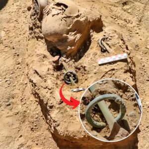 Ancient Mysteries Unearthed: Child Skeleton and Dragon Head Bracelets Discovered in Van