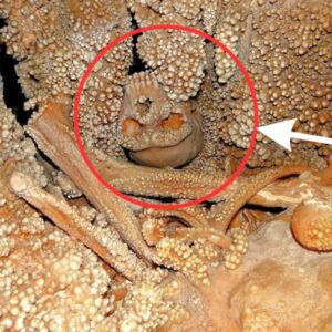 Unveiling the Past: Altamura Man’s Tragic End Revealed Through Cave Wall Discovery