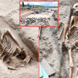 Hidden History: 200 Skeletons Speak from the Depths of a 500-Year-Old Cemetery Beneath the Blue Flag