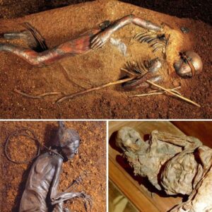 Delving into Scandinavia’s Secrets through the Examination of Over 1,000 Corpses, Including Famous Peatland Mummies