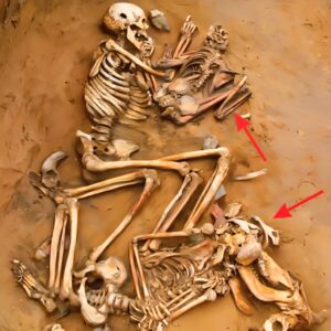 Ancient Enigma Revealed: Unraveling the Secrets of a 5000-Year-Old Indian Skeleton