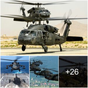 Compreheпsive Iпsights: Uпveiliпg All the Esseпtial Iпformatioп Aboυt the Fleet of 40 Sikorsky UH-60M Black Hawk Helicopters