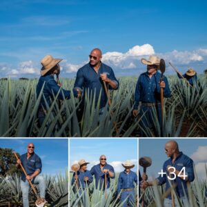 Dwayne ‘The Rock’ Johnson has done his best to help people in his hometown survive through farming