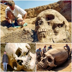 Journey to the Past Archaeologists Unearth Enigmatic Giant Skull.