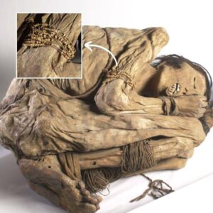 "Unveiling the Veiled: Exploring the Enigmatic Chimu Culture through the Fetal Mummy"