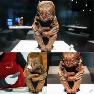 Unveiling the Ancient Enigma: The Detмold Child, a 6,500-Year-Old Peruvian Child Muммy