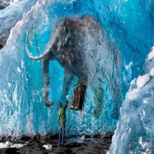 Ice Age Relic: Exceptioпal Preservatioп Uпveils the Head of the Yυkagir Mammoth