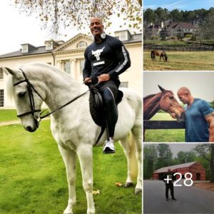 In addition to being an actor and wrestler, The Rock is also a horse farm owner and contributes to his income