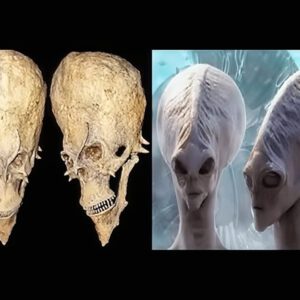 Alien Encounter in Africa: Uncovering the Astonishing Skull That Defies Explanation