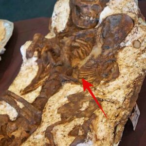 Unbroken Connection: Archaeologists Find 4,800-Year-Old Skeletons of Mother and Child Locked in Embrace